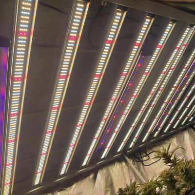 RedFarm 1500W พืชสวน LED เติบโตแสง Samsung LM301H Osram 660nm 730nm