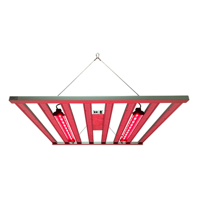 800W 8Bars Samsung LM281B ไฟ LED เต็มสเปกตรัมสำหรับไฮโดรโปนิกส์ในร่ม 4x4 ฟุต