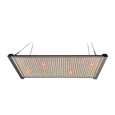 320W Quantum Board LED Grow Lights เต็มสเปกตรัม SEOUL UV 395nm